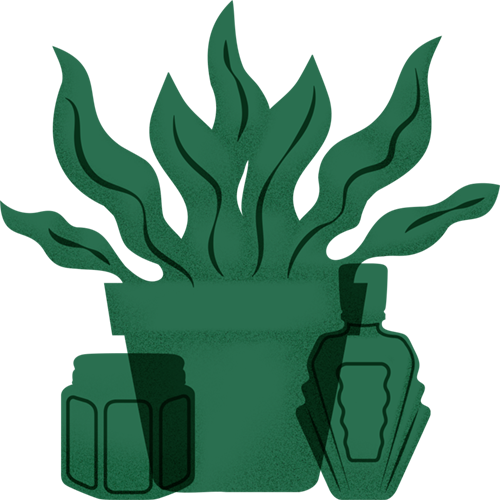 Icon of a plant